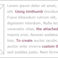 Permalink to Custom Thumbnail Sizes Using The Attached Image & Timthumb