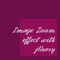 Permalink to Image Zoom Effect With jQuery