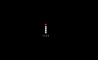 ilex-press-3
