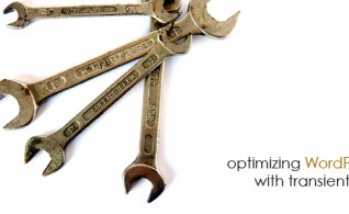 Optimizing WordPress With Transient API